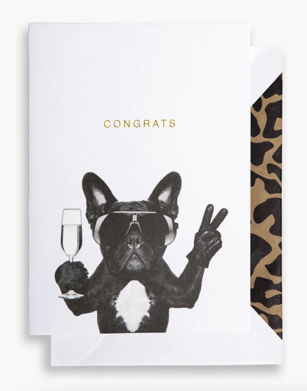 Congrats with Frenchie
