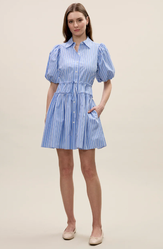 Priya Poplin Shirt Dress